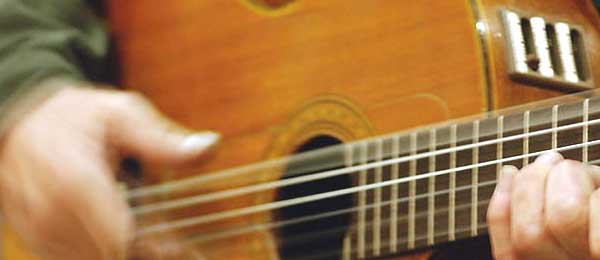 acoustic guitar